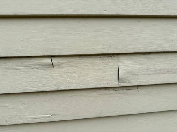 Best Steel Siding Installation  in Bull Run Mountain Estates, VA